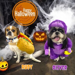 photo package-1 photo Halloween package example