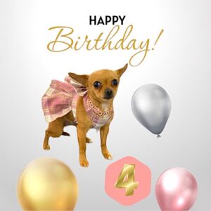 photo-package-2 photo Birthday package example